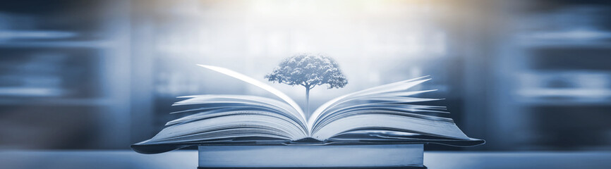 文章合为时而著,歌诗合为事而作是哪个诗派